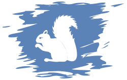 Eichhörnchen - Gruppe